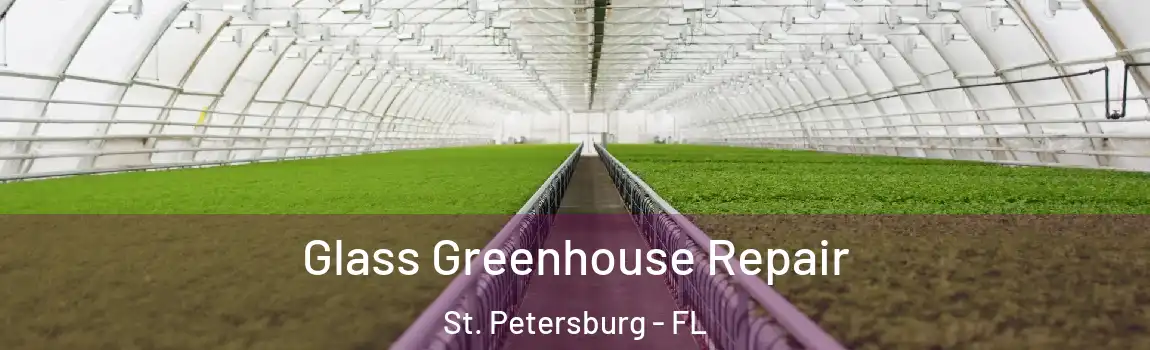 Glass Greenhouse Repair St. Petersburg - FL