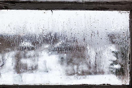 Defogging Double Pane Windows in St. Petersburg, FL